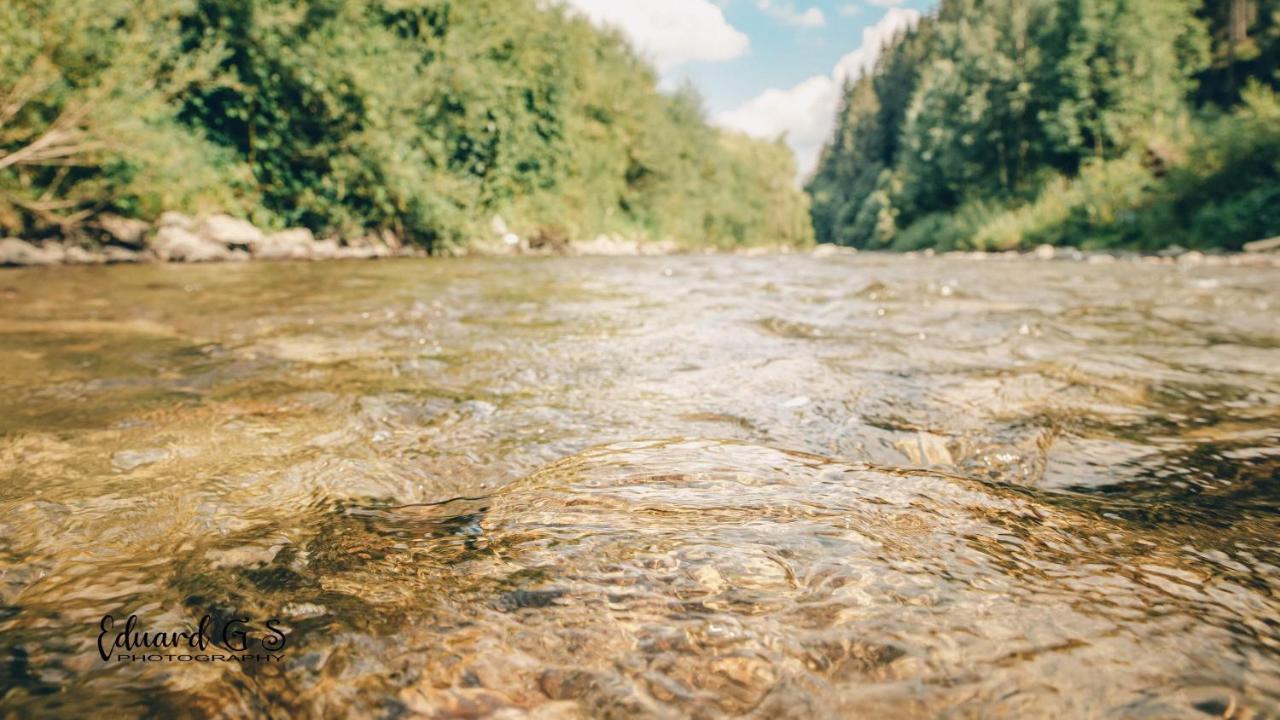 Pensiunea Viorica Fundu Moldovei Zewnętrze zdjęcie
